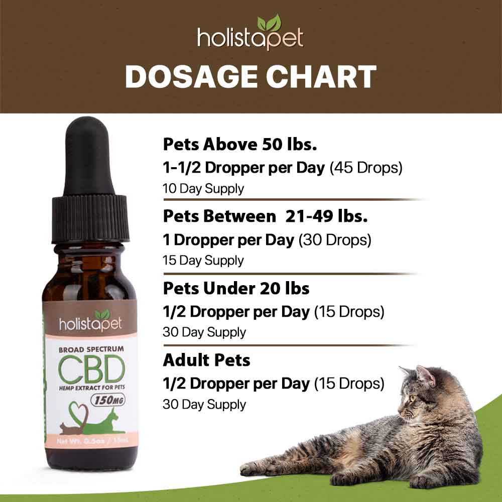 Can CBD Oil Help with Your Cat’s Feline Herpes Virus?